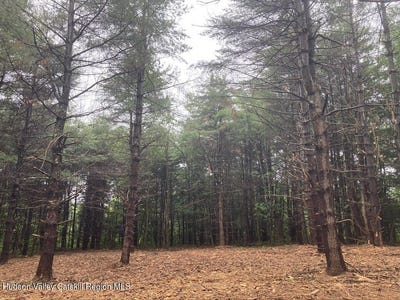/international/us/lot-6-county-rte-51-coxsackie-ny-110097365105/