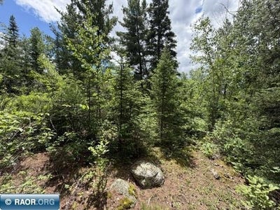 /international/us/trezona-dr-ely-mn-110104547688/