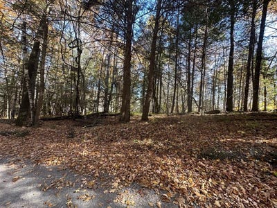/international/us/184-dupre-drive-guilford-vt-110095503179/