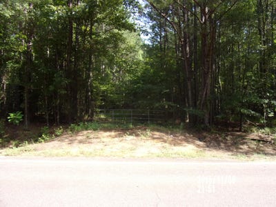 /international/us/old-hwy-12-starkville-ms-110101312559/?lang=zh-tw