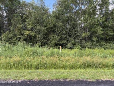 /international/us/cane-brake-lot-39-abbeville-la-110119960056/