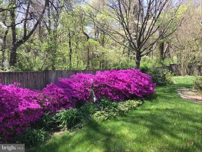 /international/us/13893-walney-park-drive-chantilly-va-110100327179/