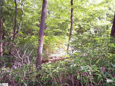 /international/us/8-woods-pond-cr-woods-pond-court-cleveland-sc-110094898824/