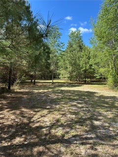/international/us/1449-se-october-road-lake-city-fl-110108475439/