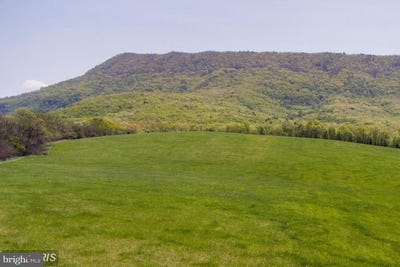 /international/us/sandy-hook-farm-lot-6-strasburg-va-110120667406/