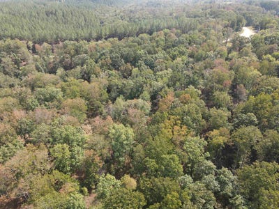 /international/us/bear-creek-rd-waverly-tn-110102277163/