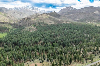 /international/us/17-raymond-view-road-markleeville-ca-110107257773/