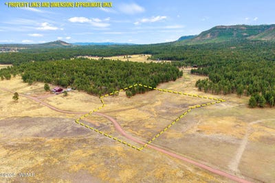 /international/us/3-county-rd-n2157-alpine-az-110101215101/