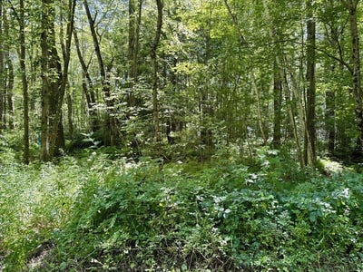 /international/us/lot-2-greenville-street-spencer-ma-110101008563/?lang=zh-tw