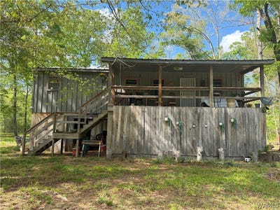 /international/us/3896-county-rd-38-sawyerville-al-110106931925/