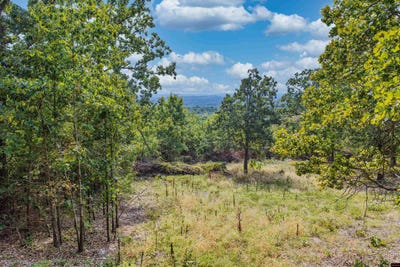 /international/us/summit-drive-lot-23-and-24-mountain-home-ar-110120132209/