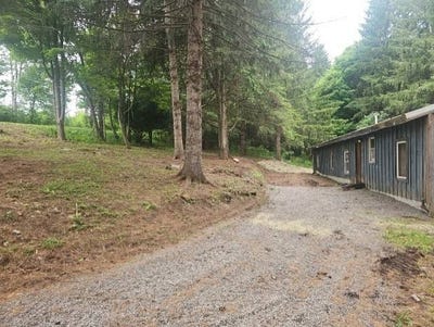 /international/us/184-campbell-hill-rd-owego-ny-110105218938/