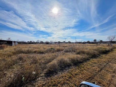 /international/us/415-w-oak-avenue-lot-5-6-mertzon-tx-110105309771/