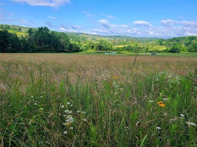 /international/us/10815-church-creek-road-corning-ny-110108682130/