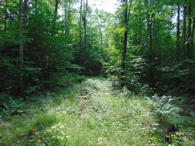 /international/us/12131-w-chesbrough-lake-road-newberry-mi-110100972271/
