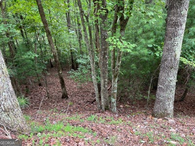 /international/us/167-tara-ellijay-ga-110101366771/?lang=zh-tw