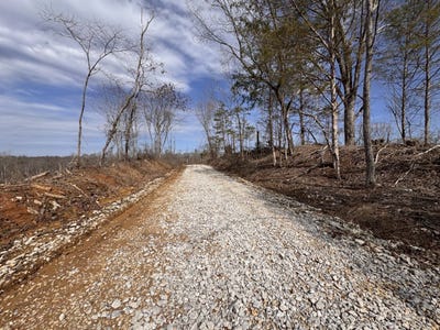 /international/us/0-county-road-217-lot-1-blue-springs-ms-110100805543/