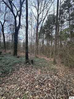 /international/us/246-whispering-pines-trail-minden-la-110108687642/