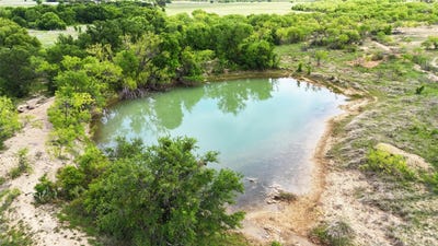 /international/us/county-road-165-early-tx-110107309745/