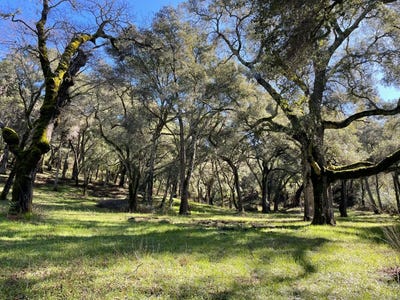 /international/us/10-garzas-trl-carmel-valley-ca-110105850009/
