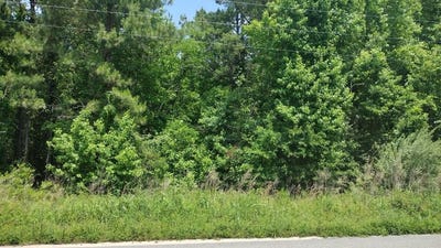 /international/us/00-lot1-meagen-lane-manning-sc-110077737155/
