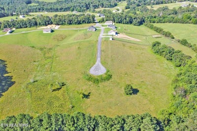 /international/us/estate-lane-crab-orchard-tn-110109983230/