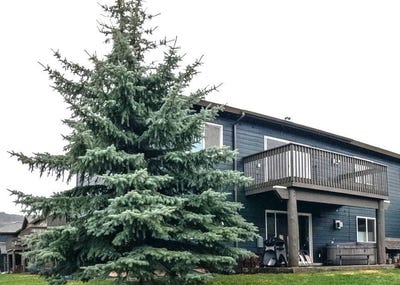 /international/us/155-aurora-lights-drive-unit-b-19-big-sky-mt-110100074768/