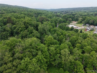 /international/us/8762-lower-east-hill-road-colden-ny-110100775345/?lang=en