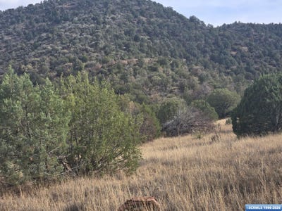 /international/us/poncho-road-mimbres-nm-110108331168/