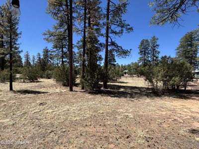 /international/us/tbd-between-2901-2905-pine-rim-road-overgaard-az-110100350140/