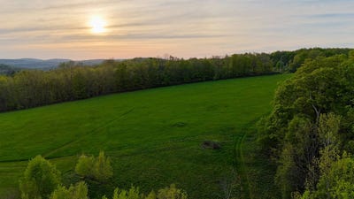 /international/us/wp0-rolling-meadows-rd-livingston-manor-ny-ny-110099606821/