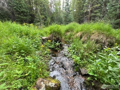 /international/us/11-pearl-creek-rd-red-feather-lakes-co-110100985958/