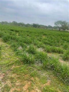 /international/us/24307-rio-colorado-road-edinburg-tx-110107751461/