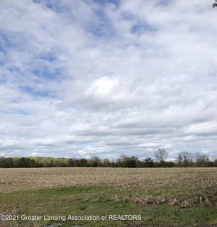 /international/us/7051-e-saginaw-grand-ledge-mi-110065375538/