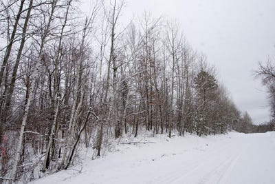/international/us/sheridan-woods-lane-ne-outing-mn-110106368489/