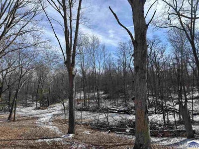 /international/us/county-road-75-w-cayuga-in-110099994961/