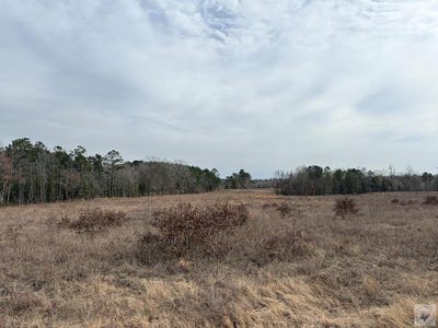 /international/us/tx-hwy-8-linden-tx-110105906384/