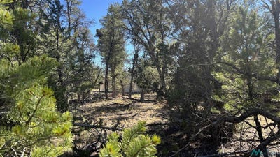 /international/us/paradise-loop-road-quemado-nm-110103268321/