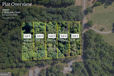 /international/us/brittany-cove-lavonia-ga-110119912302/