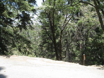 /international/us/0-forest-lane-twin-peaks-ca-110100880851/?lang=zh-cn