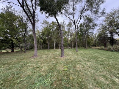 /international/us/42w613-meadowsweet-drive-elburn-il-110102921110/