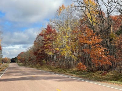 /international/us/l1b1-fawn-lake-road-merrifield-mn-110107485923/