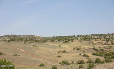 /international/us/cr-212-08-001e-concho-az-110102406930/