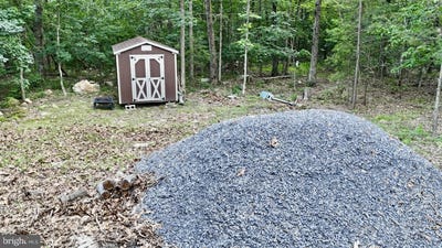 /international/us/suzanne-lane-luray-va-110100810422/
