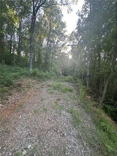 /international/us/19433-n-us-71-hwy-mountainburg-ar-110101210561/