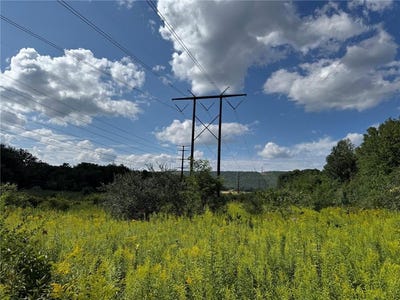 /international/us/butternut-drive-lehigh-twp-pa-110119745111/