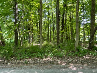 /international/us/balsam-lane-new-carlisle-in-110104265928/