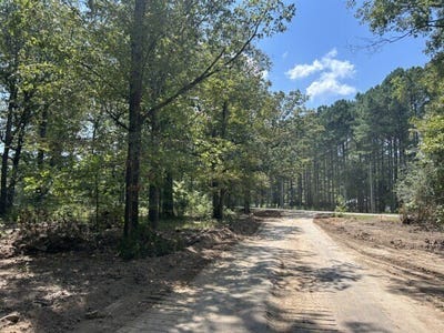 /international/us/s-pontotoc-road-tracts-1-3-pontotoc-ms-110119519675/