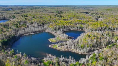/international/us/xx71-holly-lake-rd-drummond-wi-110108768814/