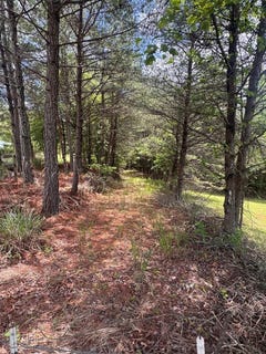 /international/us/lot-13-porter-place-blairsville-ga-110108449380/
